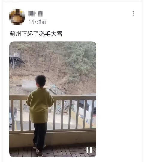 天津下雪啦!鹅毛大雪?!接下来太刺激了…… 天津下雪啦!鹅毛大雪?!接下来太刺激了……