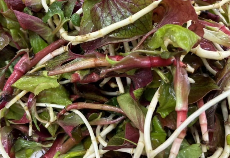 折耳根跨界成时尚单品！重庆网友：万万没想到