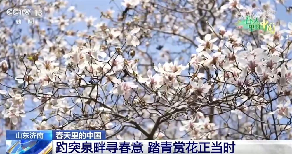 “赏花游”推动文旅市场“一路繁花” “春日经济”释放新活力