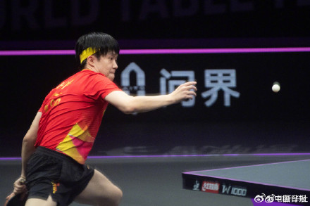 恭喜!王楚钦进8强 恭喜!王楚钦进8强