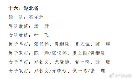 郑钦文将代表湖北省参加全运会