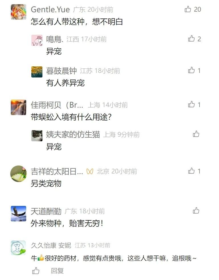 事发上海浦东机场! 可怕! 36个全是活的,且凶猛…网友:要干嘛? 事发上海浦东机场! 可怕! 36个全是活的,且凶猛…网友:要干嘛?