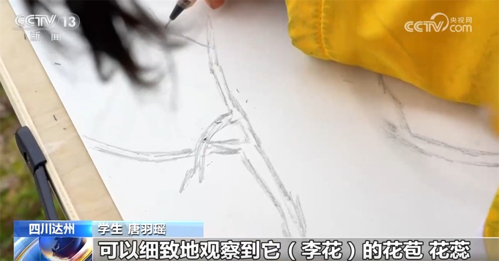 “赏花经济”为消费市场注入新活力 特色产业激活乡村振兴“动力源” “赏花经济”为消费市场注入新活力 特色产业激活乡村振兴“动力源”