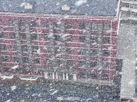 你拍到了吗？北京多地飘雪啦
