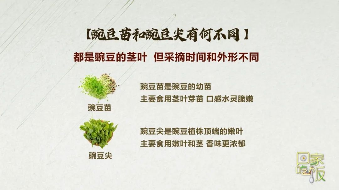 抓住春天的“鲜”机!这些养颜排毒“神菜”你吃了吗? 抓住春天的“鲜”机!这些养颜排毒“神菜”你吃了吗?