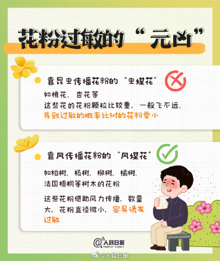 转发周知！春季花粉过敏防护知识点