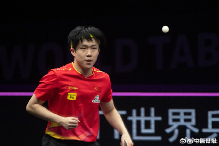 恭喜!王楚钦进8强 恭喜!王楚钦进8强