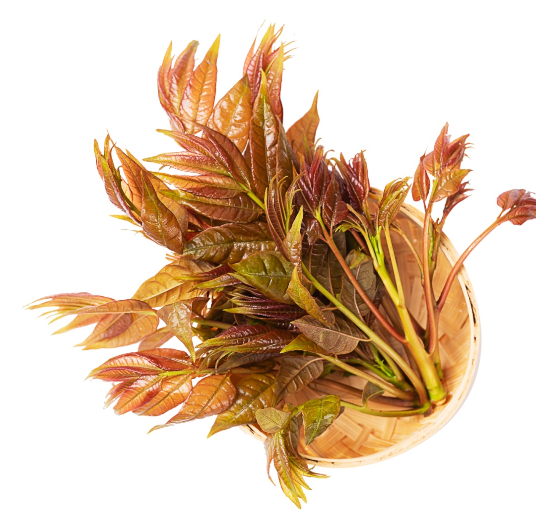 抓住春天的“鲜”机!这些养颜排毒“神菜”你吃了吗? 抓住春天的“鲜”机!这些养颜排毒“神菜”你吃了吗?