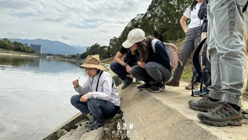 “獭”出没注意，香港湿地公园首次记录