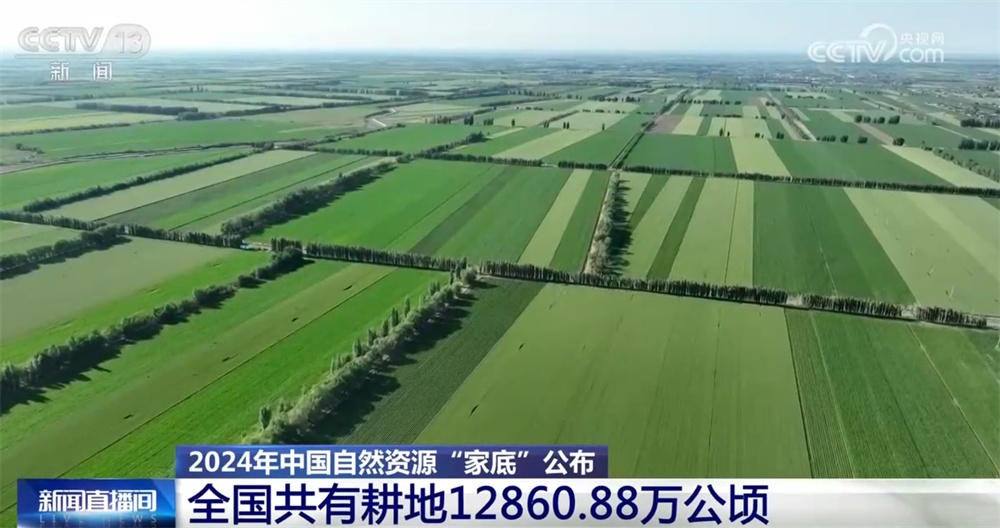 基础稳、韧性强、潜力大 多维数据梳理2024年中国自然资源“家底” 基础稳、韧性强、潜力大 多维数据梳理2024年中国自然资源“家底”