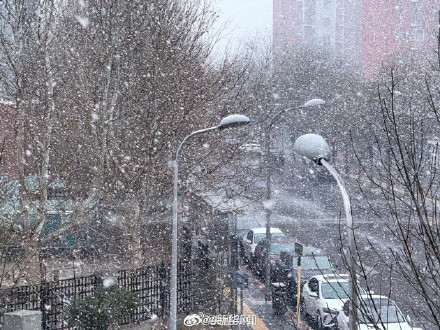 你拍到了吗？北京多地飘雪啦