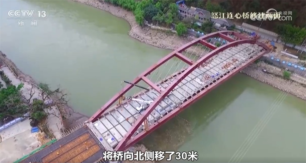 跨越时空、共荣共生！这些生态中国里的古树“传奇”打动了你吗？