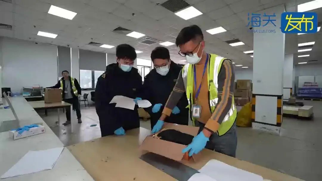 事发上海浦东机场! 可怕! 36个全是活的,且凶猛…网友:要干嘛? 事发上海浦东机场! 可怕! 36个全是活的,且凶猛…网友:要干嘛?