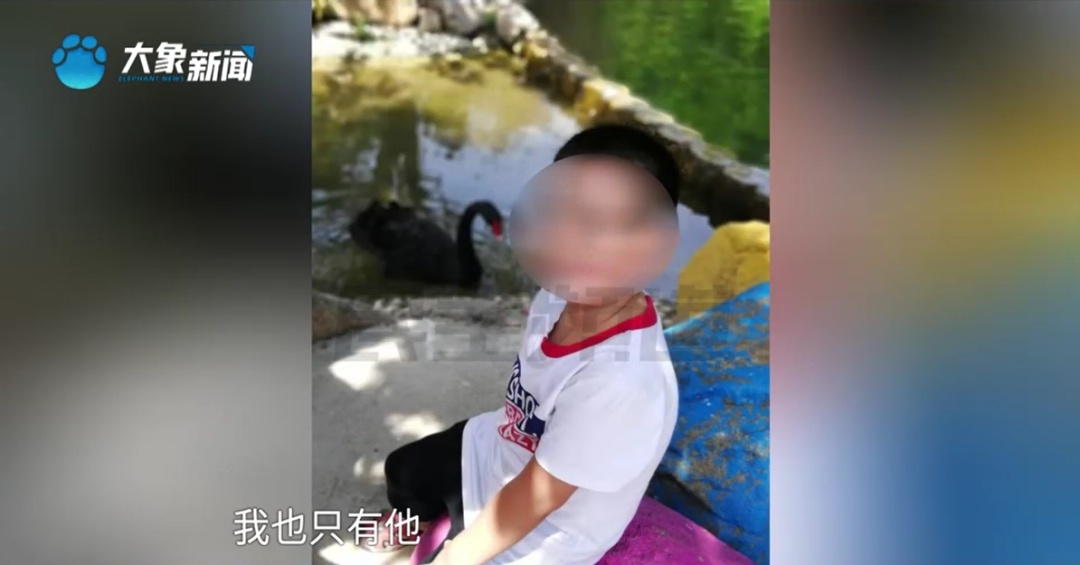 “以为是生长痛!” 12岁男孩确诊癌症!单亲父亲泪崩…… “以为是生长痛!” 12岁男孩确诊癌症!单亲父亲泪崩……