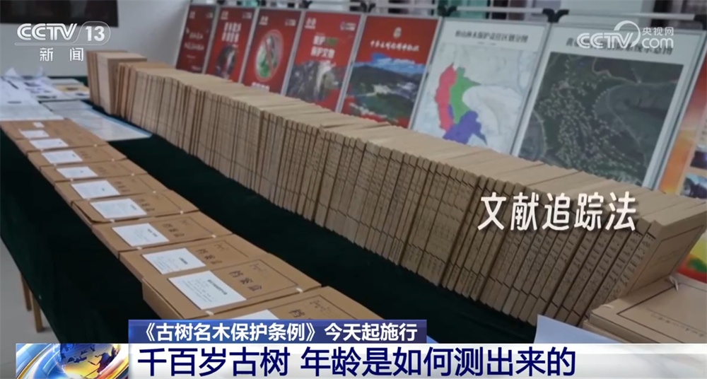 跨越时空、共荣共生！这些生态中国里的古树“传奇”打动了你吗？