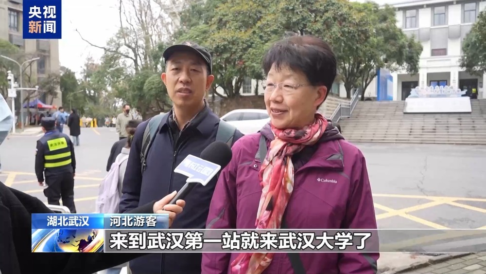 武大樱花季上线三条新线路 志愿者引导逛校园 武大樱花季上线三条新线路 志愿者引导逛校园