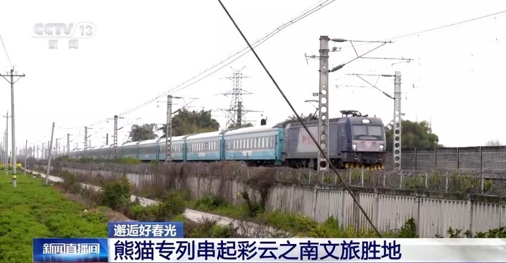 跟着熊猫专列一路南下 看坝达梯田、尝哈尼风味餐→ 跟着熊猫专列一路南下 看坝达梯田、尝哈尼风味餐→