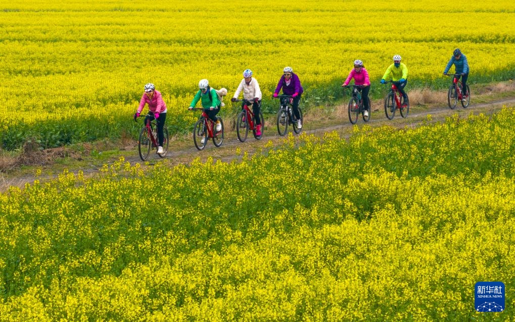 生态中国丨春日赏花正当时 生态中国丨春日赏花正当时