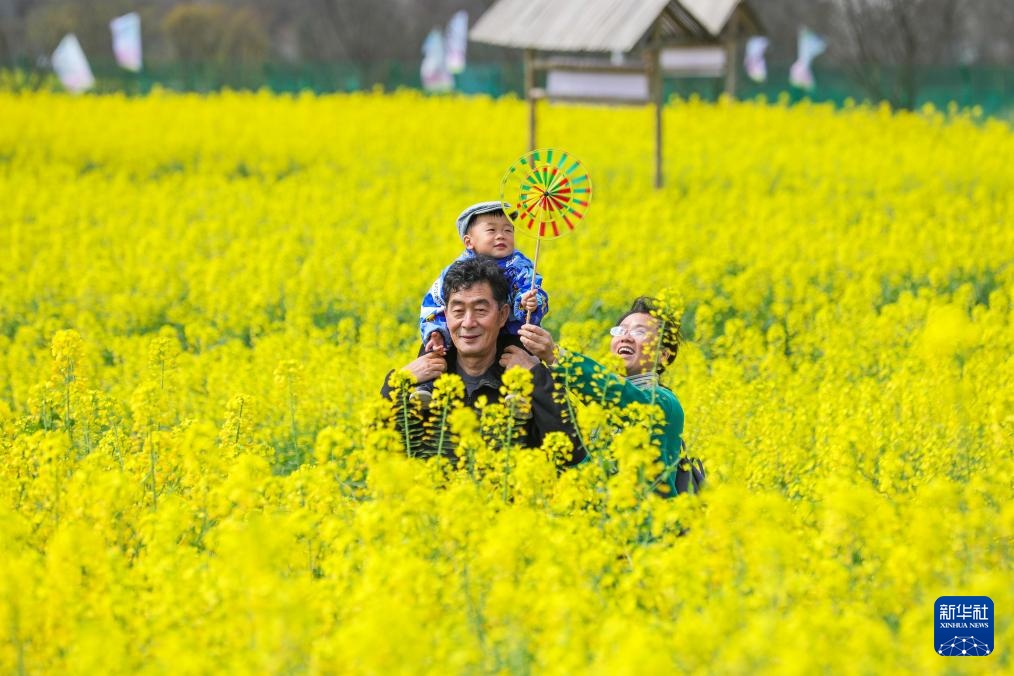 生态中国丨春日赏花正当时 生态中国丨春日赏花正当时