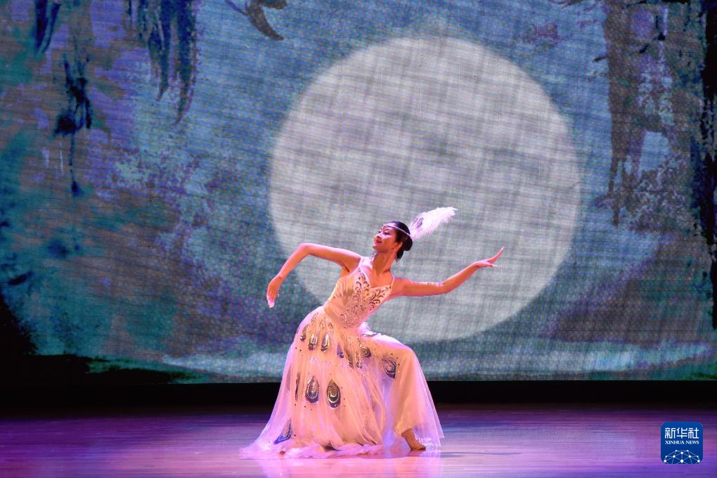 中国残疾人艺术团台北演绎“我的梦”