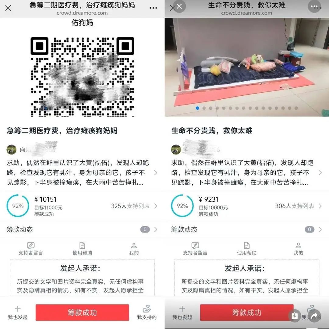 数百人捐款10万元救狗，一捐款人质疑账目不清被踢出群，双方回应