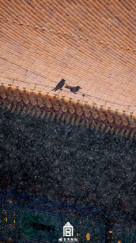故宫蛇年初雪氛围感壁纸