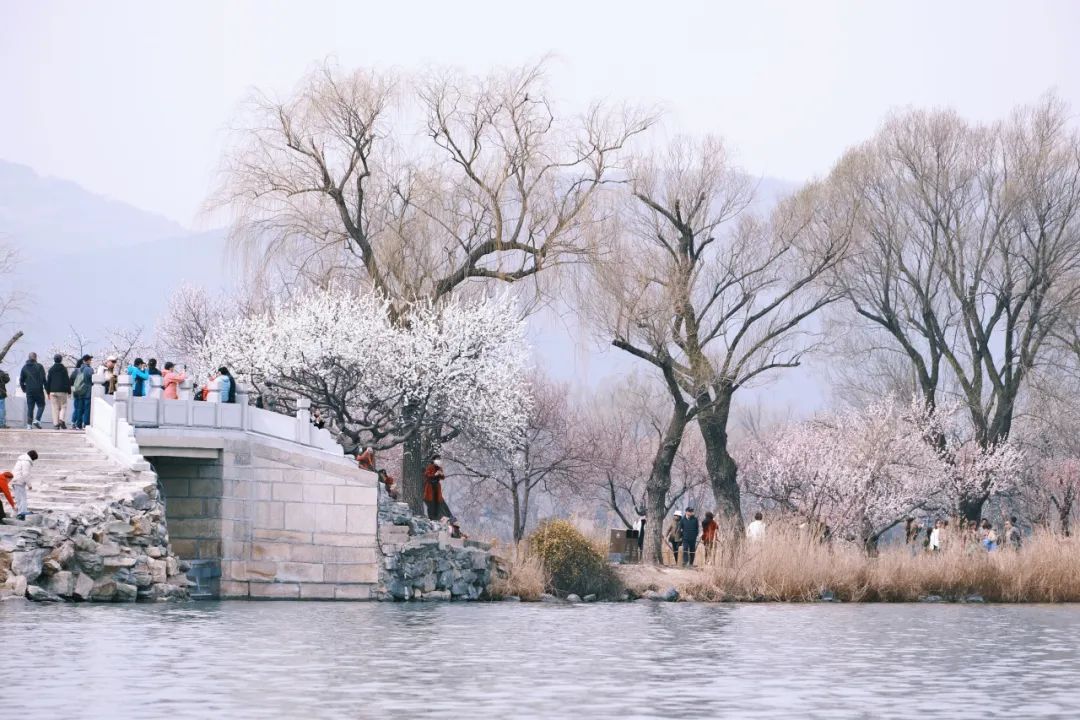 北京“最美西郊线”上线重联列车！还有“出站免检”——