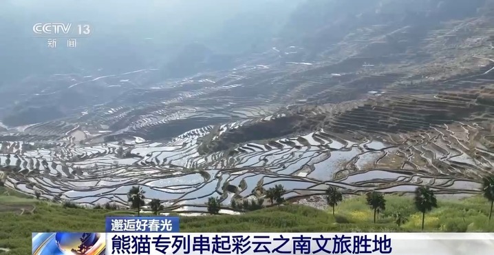 跟着熊猫专列一路南下 看坝达梯田、尝哈尼风味餐→ 跟着熊猫专列一路南下 看坝达梯田、尝哈尼风味餐→