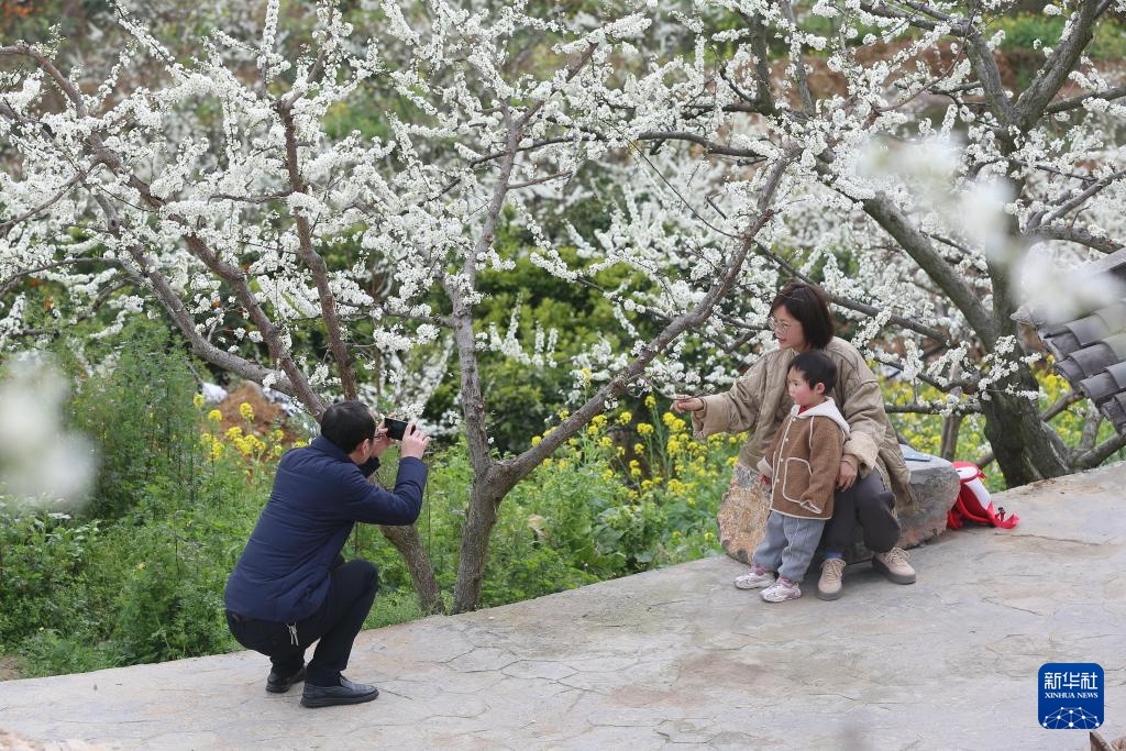 生态中国丨春日赏花正当时 生态中国丨春日赏花正当时