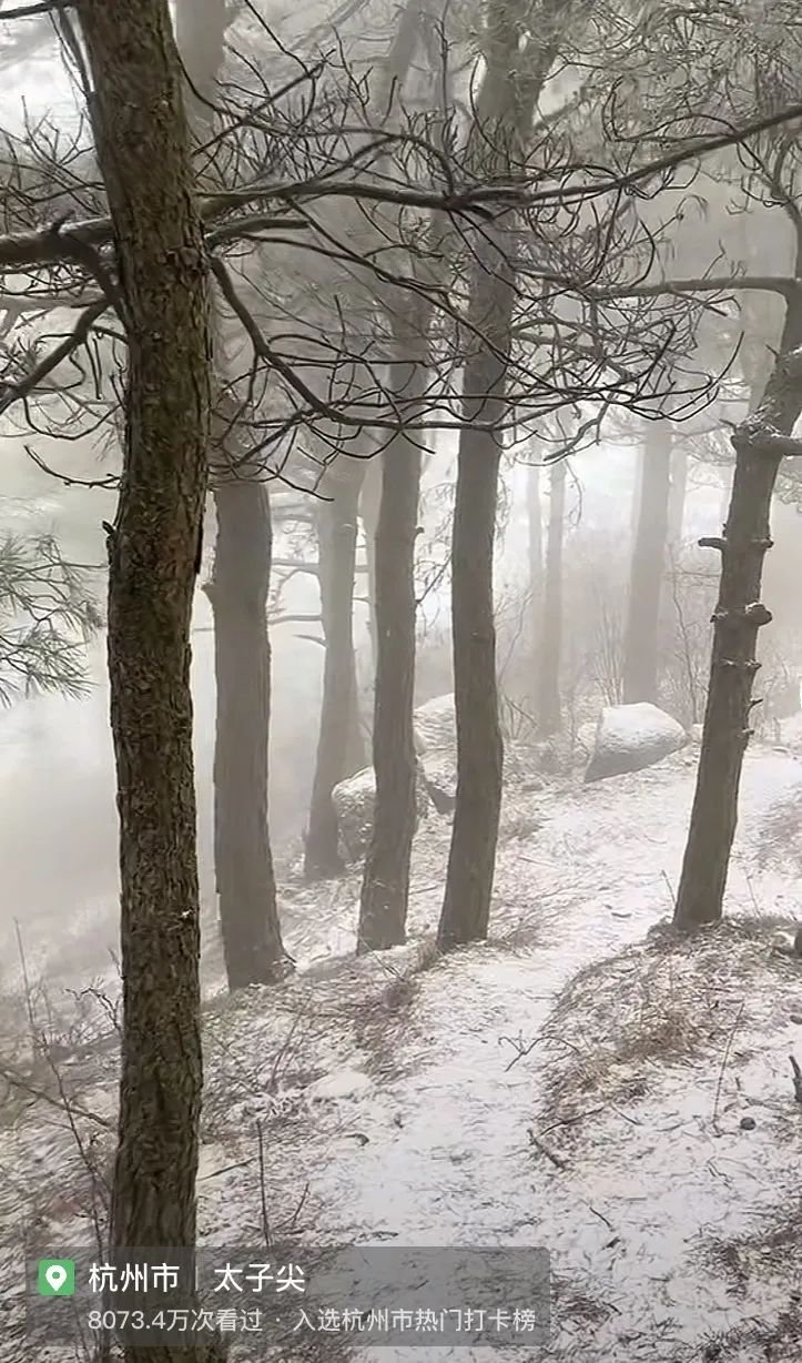 万万没想到！刚刚杭州下雪了！还有一个更猛的消息...