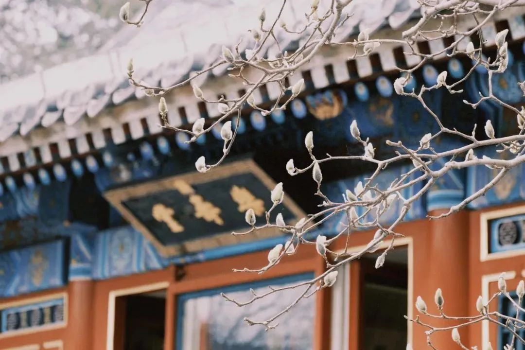 北京“最美西郊线”上线重联列车！还有“出站免检”——