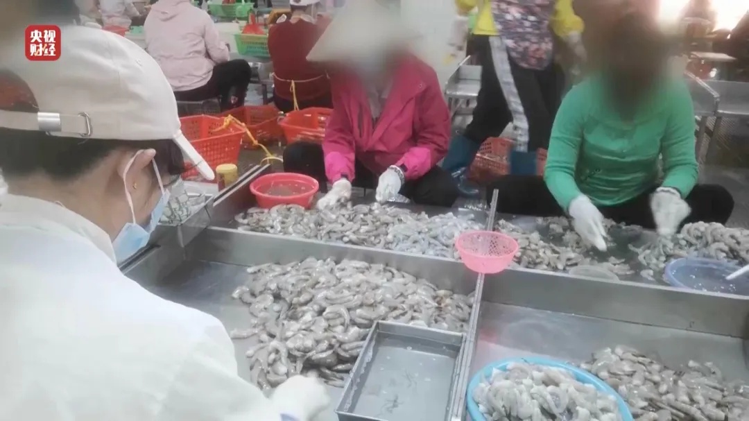 他们自己都不吃！315晚会曝光“保水虾仁”：包冰增重，1斤虾仁7两冰