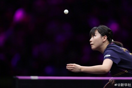 孙颖莎陈幸同会师决赛