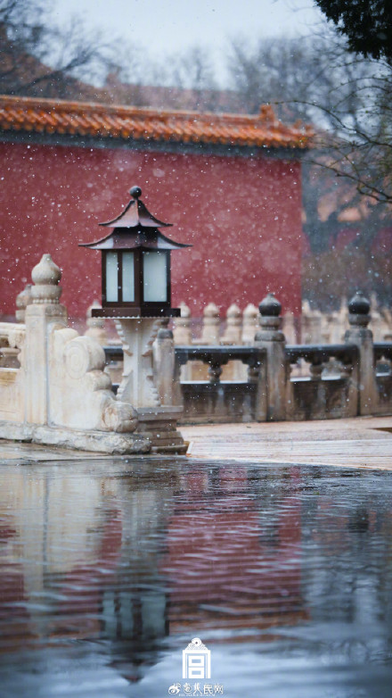 故宫蛇年初雪氛围感壁纸
