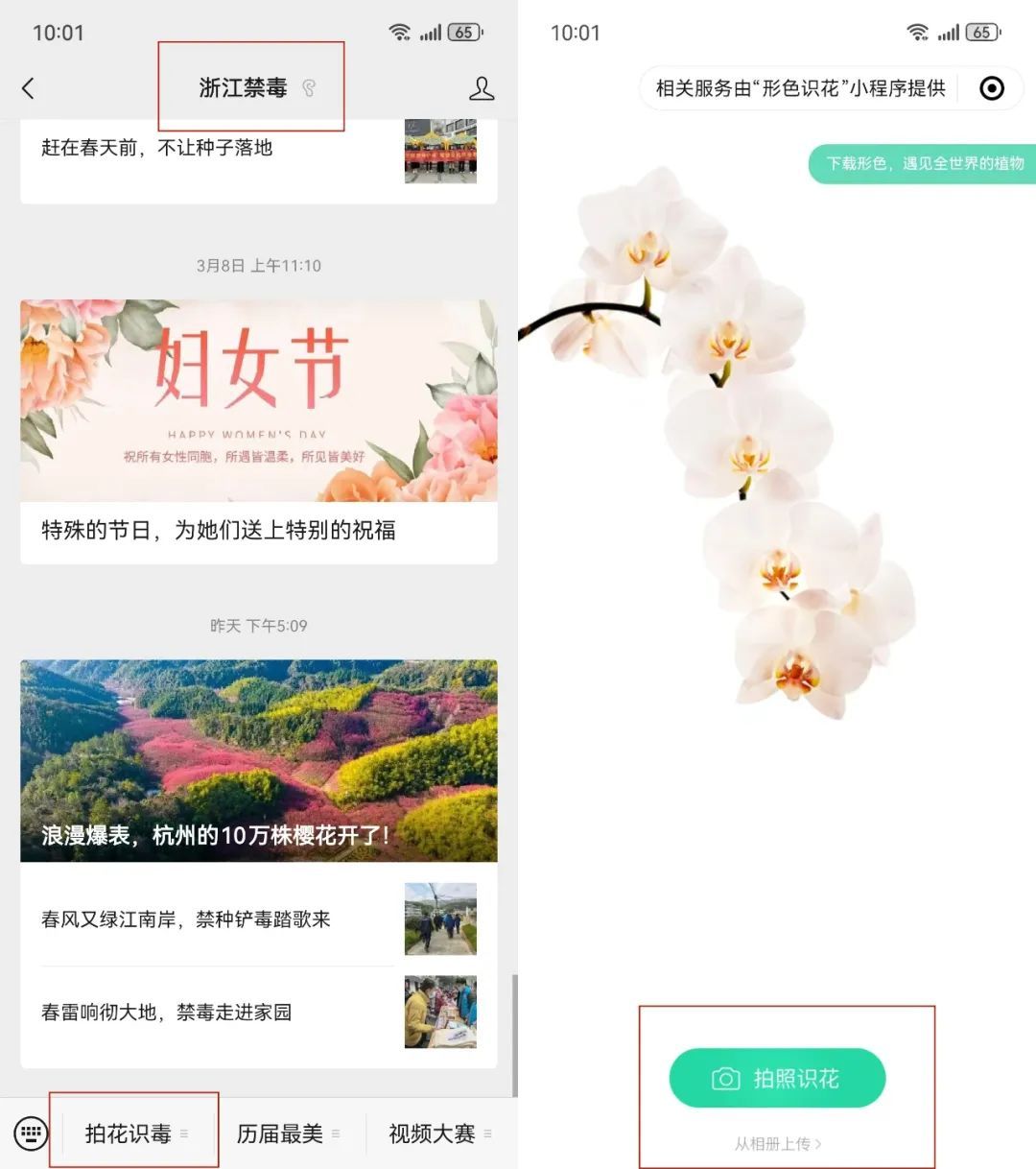 撞脸很多“野菜”！杭州人仔细辨别！见到立刻举报