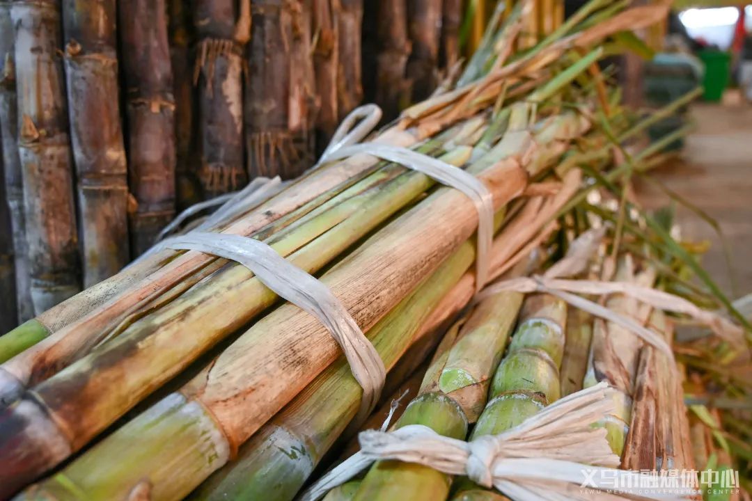 生意火爆!一天狂卖4000根!出现这些情况,千万别…… 生意火爆!一天狂卖4000根!出现这些情况,千万别……