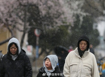 北京城区迎来三月桃花雪