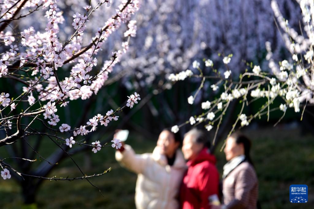 生态中国丨春日赏花正当时 生态中国丨春日赏花正当时