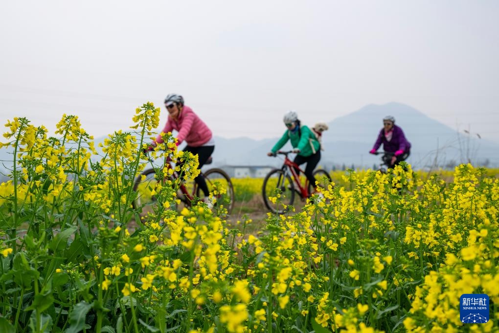 生态中国丨春日赏花正当时 生态中国丨春日赏花正当时