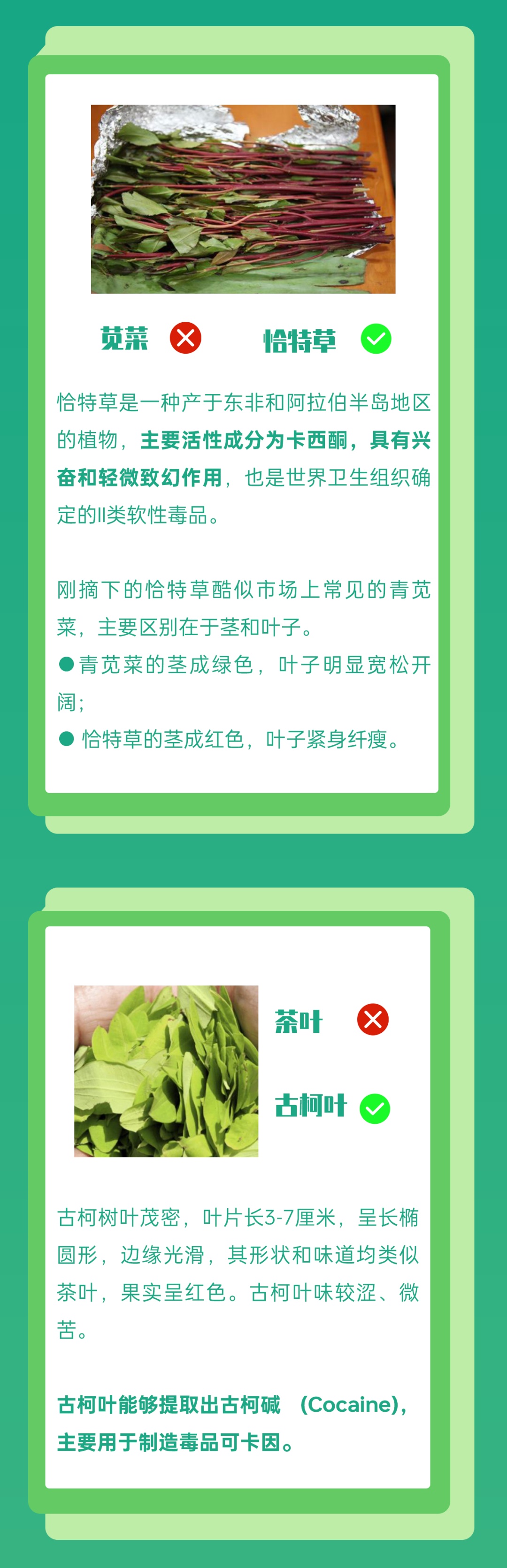 这种青菜火了！而一些特殊的“菜”，你一定要当心……