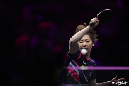 孙颖莎陈幸同会师决赛