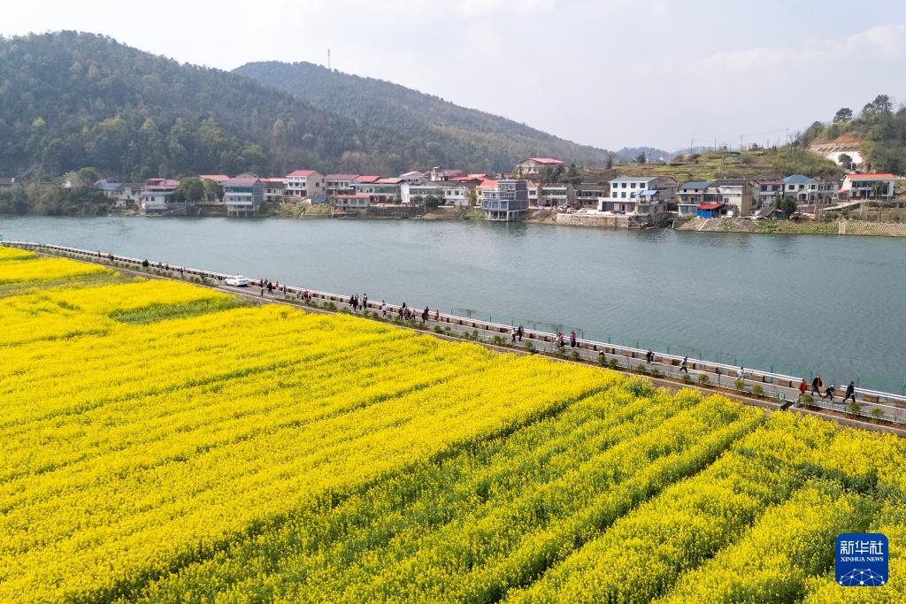 生态中国丨春日赏花正当时 生态中国丨春日赏花正当时