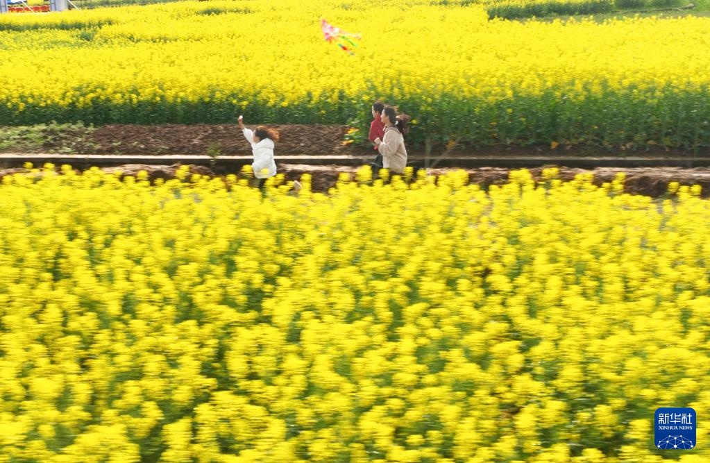 生态中国丨春日赏花正当时 生态中国丨春日赏花正当时