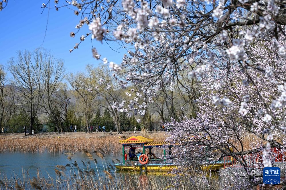 生态中国丨春日赏花正当时 生态中国丨春日赏花正当时