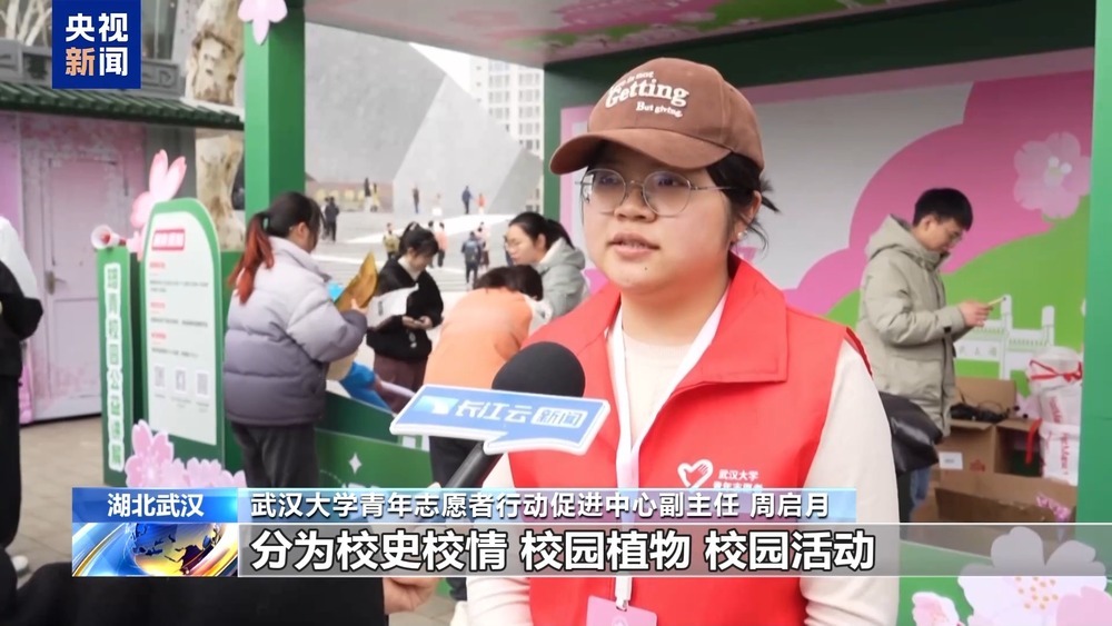 武大樱花季上线三条新线路 志愿者引导逛校园 武大樱花季上线三条新线路 志愿者引导逛校园