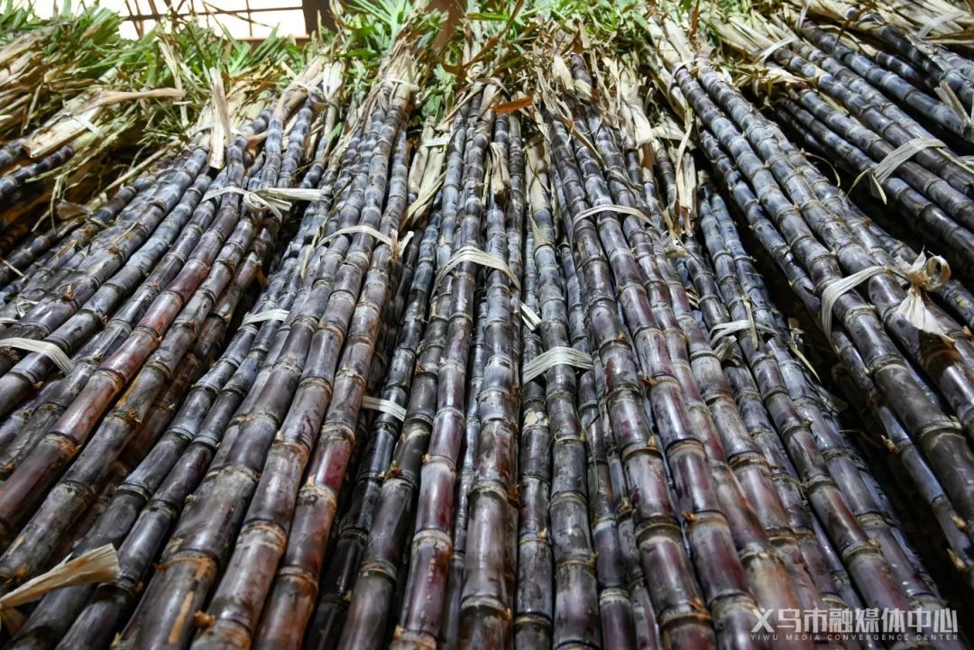 生意火爆!一天狂卖4000根!出现这些情况,千万别…… 生意火爆!一天狂卖4000根!出现这些情况,千万别……