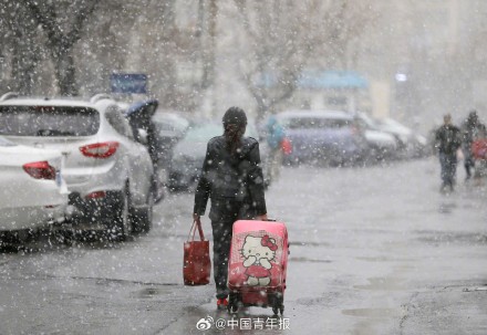 北京城区迎来三月桃花雪