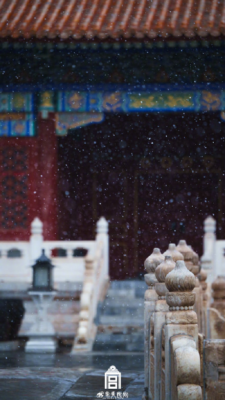 故宫蛇年初雪氛围感壁纸