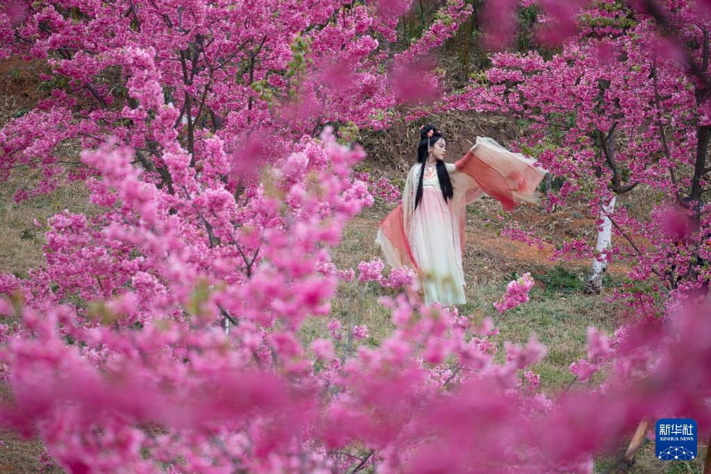 生态中国丨春日赏花正当时 生态中国丨春日赏花正当时