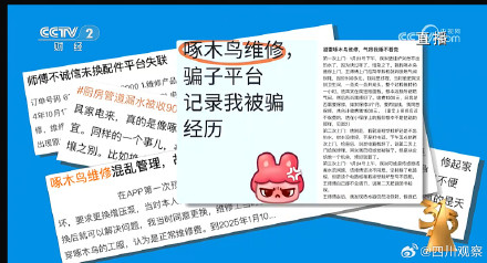 维修刺客啄木鸟公司欠税被公告